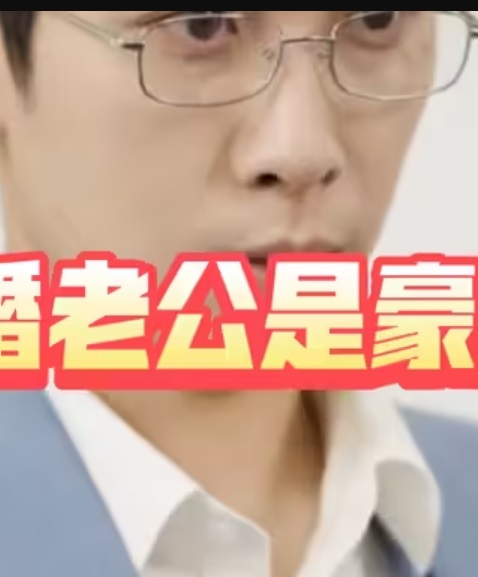 闪婚老公是豪门